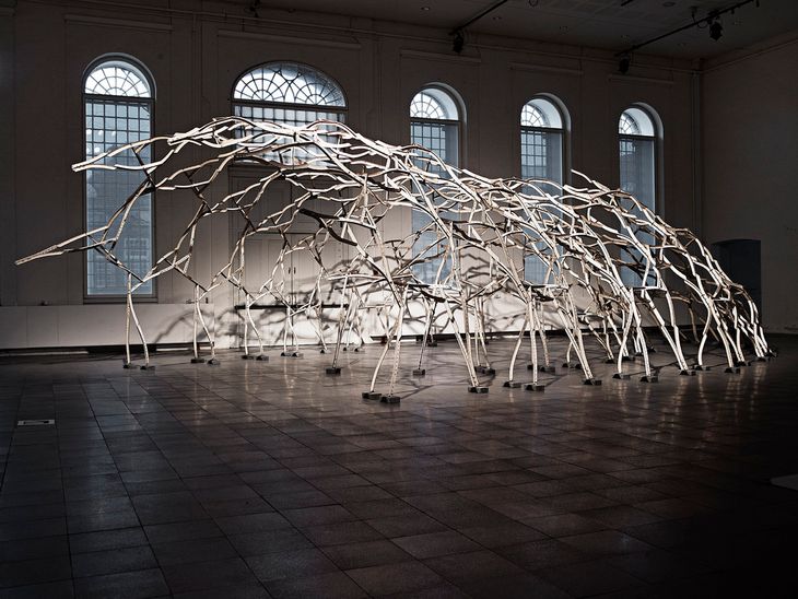Figure 3: Dermoid installed at the 1:1 Exhibition, Copenhagen, 2011. Photo by Anders Ingvartsen.
